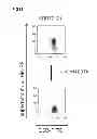 Fig. 14 - Generating metal ion binding proteins