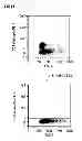 Fig. 15 - Generating metal ion binding proteins