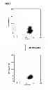 Fig. 16 - Generating metal ion binding proteins