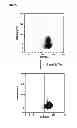 Fig. 17 - Generating metal ion binding proteins