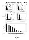 Fig. 04 - HLA-restricted, peptide-specific antigen binding proteins