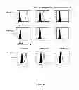 Fig. 06 - HLA-restricted, peptide-specific antigen binding proteins