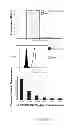 Fig. 09 - HLA-restricted, peptide-specific antigen binding proteins