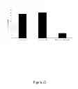 Fig. 23 - HLA-restricted, peptide-specific antigen binding proteins