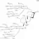 Fig. 13 - Novel Process for the Preparation of Rebaudioside D and Other Related Naturally Occurring Sweetners