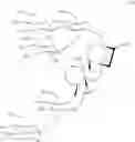 Fig. 135 - Novel Process for the Preparation of Rebaudioside D and Other Related Naturally Occurring Sweetners