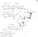 Fig. 98 - Novel Process for the Preparation of Rebaudioside D and Other Related Naturally Occurring Sweetners