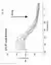 Fig. 05 - Methods and Compositions of Nucleic Acid Ligands for Detection of Clinical Analytes Related to Human Health