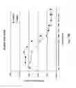 Fig. 28 - Methods and Compositions of Nucleic Acid Ligands for Detection of Clinical Analytes Related to Human Health