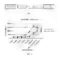 Fig. 03 - Aptamers and diagnostic methods for detecting the EGF receptor