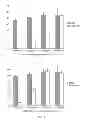 Fig. 14 - Aptamers and diagnostic methods for detecting the EGF receptor