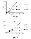 Fig. 04 - Antisense design