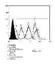 Fig. 14 - Antisense design