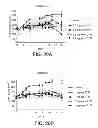 Fig. 22 - Antisense design
