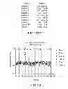 Fig. 25 - Antisense design