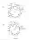 Fig. 22 - Compositions and methods for bacterial and genetically modified microorganism production of chondroitin