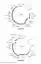 Fig. 43 - Compositions and methods for bacterial and genetically modified microorganism production of chondroitin