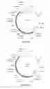 Fig. 46 - Compositions and methods for bacterial and genetically modified microorganism production of chondroitin