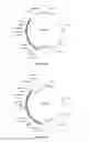 Fig. 48 - Compositions and methods for bacterial and genetically modified microorganism production of chondroitin