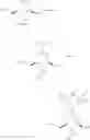 Fig. 49 - GLUCOPYRANOSIDE COMPOUND
