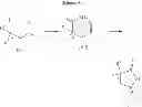 Fig. 149 - Processes for the preparation of pyrrolidine intermediates