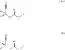 Fig. 72 - Processes for the preparation of pyrrolidine intermediates