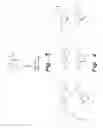 Fig. 03 - 4-ARYL-1-(BIARYLMETHYLENE) PIPERIDINE COMPOUNDS