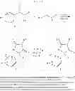 Fig. 20 - Compositions and methods for the treatment of malaria