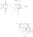 Fig. 02 - 3-hydroxy-6H-benzo [C] chromene-6-one derivative and manufacturing method thereof