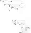 Fig. 25 - 3-hydroxy-6H-benzo [C] chromene-6-one derivative and manufacturing method thereof