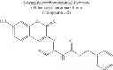 Fig. 34 - 3-hydroxy-6H-benzo [C] chromene-6-one derivative and manufacturing method thereof