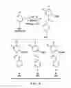 Fig. 16 - CYCLIC PEROXIDE OXIDATION OF AROMATIC COMPOUNDS PRODUCTION AND USE THEREOF