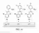 Fig. 17 - CYCLIC PEROXIDE OXIDATION OF AROMATIC COMPOUNDS PRODUCTION AND USE THEREOF