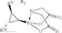 Fig. 08 - Cyclopropyl MIDA boronate