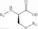 Fig. 08 - Processes for the preparation of lacosamide and intermediates thereof