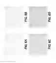 Fig. 07 - Preparation of Regenerative Tissue Scaffolds