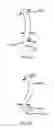 Fig. 07 - OPERATIVE ELEMENT SUPPORT STRUCTURE WITH CLOSED TUBULAR BASE