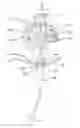 Fig. 01 - Remote endoscope handle manipulation