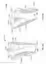 Fig. 202 - Image capture assembly for use in a multi-viewing elements endoscope