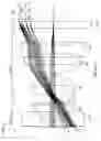 Fig. 98 - Image capture assembly for use in a multi-viewing elements endoscope
