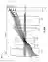 Fig. 99 - Image capture assembly for use in a multi-viewing elements endoscope