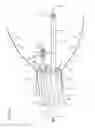 Fig. 03 - Panoramic organ imaging