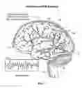 Fig. 02 - Detecting and treating nervous system disorders