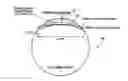 Fig. 01 - Pressure sensors for small-scale applications and related methods