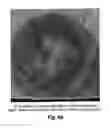 Fig. 53 - Pressure sensors for small-scale applications and related methods