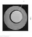 Fig. 06 - Selective zero-quantum coherence transfer (Sel-ZQC) method for metabolite imaging in a poorly shimmed magnet field without susceptibility artifact