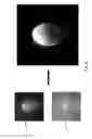 Fig. 03 - LUMINESCENT COMPOSITION AS BIOMARKER IN A BIRD'S EGG, CORRESPONDENCE DEVICE AND METHOD