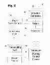 Fig. 03 - Analgesic implant device and system