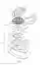 Fig. 02 - Needle with protective cover member