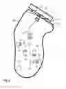Fig. 04 - Hair detector with multiple focal points